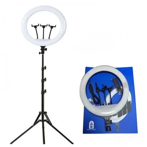 Generic Selfie ring 14 inca LED LAMPA 45cm LED prsten za foto studio Cene