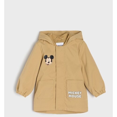 Sinsay Jakna s kapuljačom Mickey Mouse Cijene
