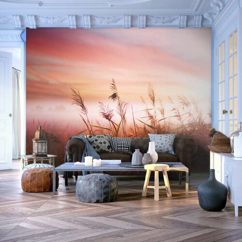  Tapeta - Morning meadow 250x193 Slike