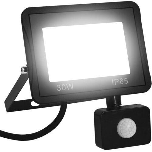 VidaXL LED reflektor sa senzorom 30 W hladni bijeli Slike