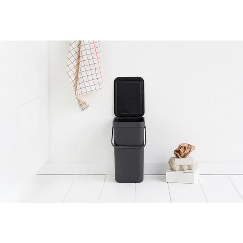 Brabantia Zabojnik za ločevanje odpadkov 12 L - siva Cene