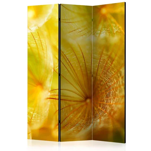  Paravan u 3 dijela - Soft dandelion flower [Room Dividers] 135x172