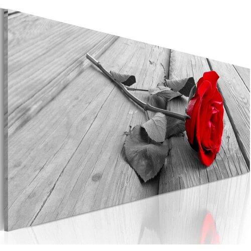  Slika - Carmine rose 135x45 Slike