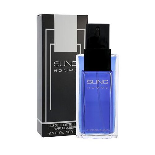 Alfred Sung Sung for Men toaletna voda za muškarce 100 ml Cijene