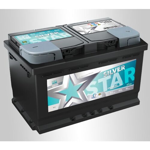 Silver star Akumulator za automobile 12V065D EFB Cene