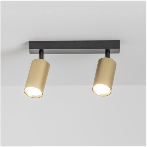  Brilagi - Spot svetiljka SELE GOLDEN 2xGU10/30W/230V crna/zlatna Cene