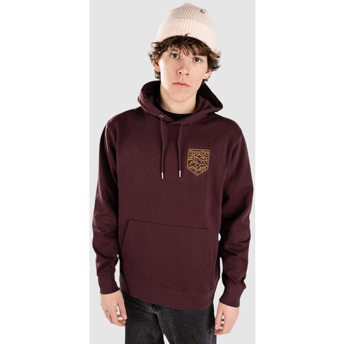 Absolut Park Park Line Pulover s kapuco red brown Slike