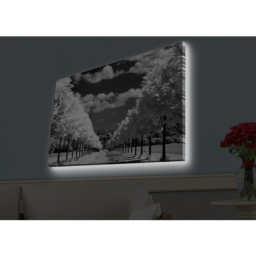 Wallity Slika sa LED osvetljenjem 4570HDACT-029, 45x70 cm Cene