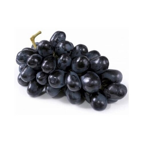 Nepoznato Crno grožđe 1kg Cene