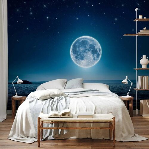 Foto tapeta - Moonlit night 294x210 Samoljepljiva Cene