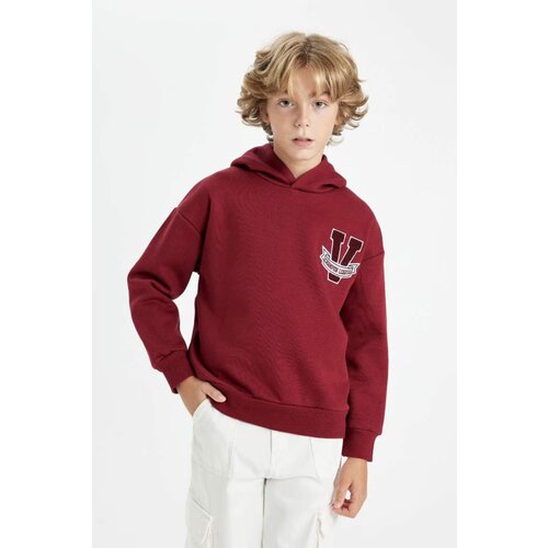 Defacto Boy Oversize Fit Hooded Thick Sweatshirt Slike