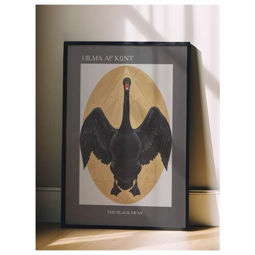 Wallxpert uramljena slika 115216, The Black Swan Hilme af Klint, crni labud u zlatnom ovalu, 50 x 70 cm, crni ram Cene