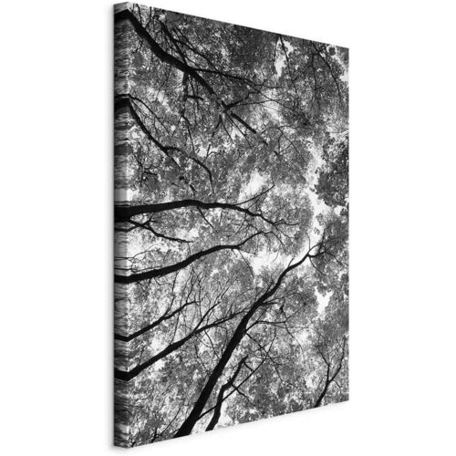 Artgeist Slika Na Platnu High Trees Cene