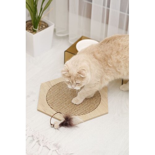 Paws & Whiskers Grebalica za mačke bež boje Cijene