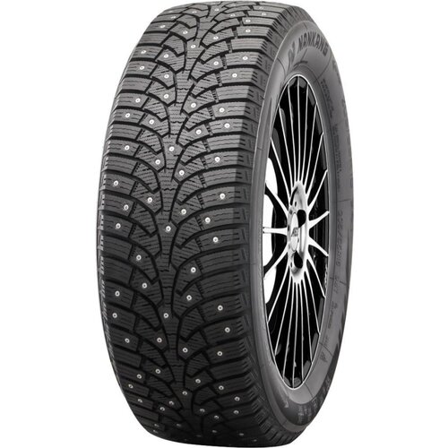 Nankang Ice Activa Grip 2 ( 215/55 R17 98T XL, stavljenji spike-ovi ) Slike
