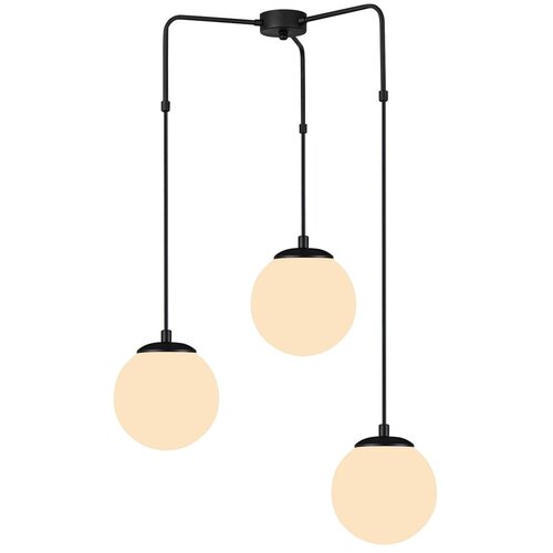 Squid Lighting Črna viseča svetilka Efe, višina 100 cm Cene