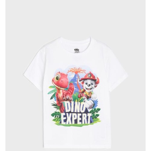 Sinsay Pamučna majica s printom PAW Patrol Cijene
