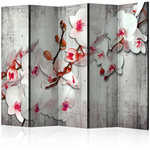  Paravan u 5 dijelova - Concrete Orchid II [Room Dividers] 225x172