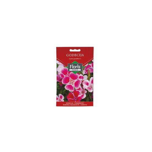 Hortusi FLORIS cveće Turski karanfil 0.3 g Slike