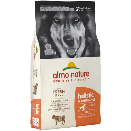 Holistic Almo Nature Adult Govedina & riž Large - Varčno pakiranje: 2 x 12 kg Cene
