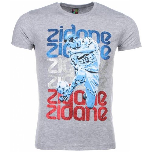 Local Fanatic Majice s kratkimi rokavi 6688903 Siva Cene