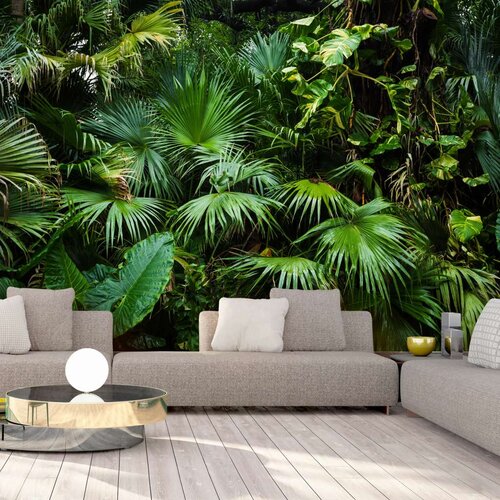  Samoljepljiva foto tapeta - Sunny Jungle 245x175 Slike