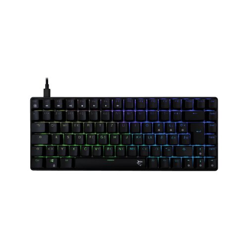 WHITESHARK Tipkovnica GK-005122 HAMACHI Mehanska RGB / HR - MODRA SW., (5000009743) Cene