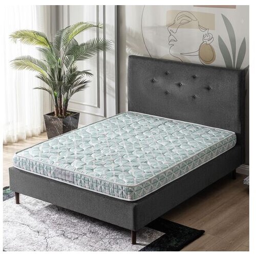 Hanah home Dušek Dr.Therapy Cene