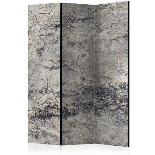  Paravan u 3 dijela - Grey Lady [Room Dividers] 135x172 Cijene