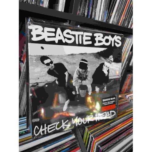  Beastie Boys-Check Your Head Cene