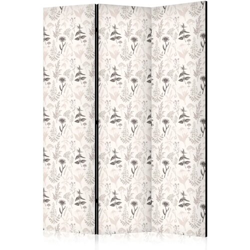  Paravan - Botanical Illustration - Drawing of Flowers and Herbs - Beige Grays 135x172 Cijene
