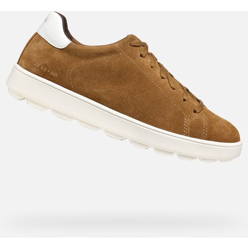 Geox Light brown men&amp;#039;s sneakers Spherica ECUB-1 - Men Slike