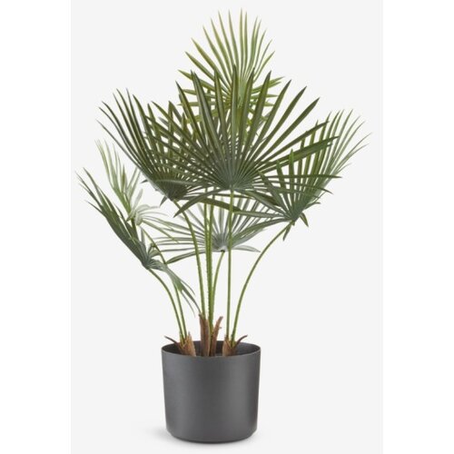 Ve&amp;scaron;tačka biljka &amp;Scaron;60xD45xV73cm Slike