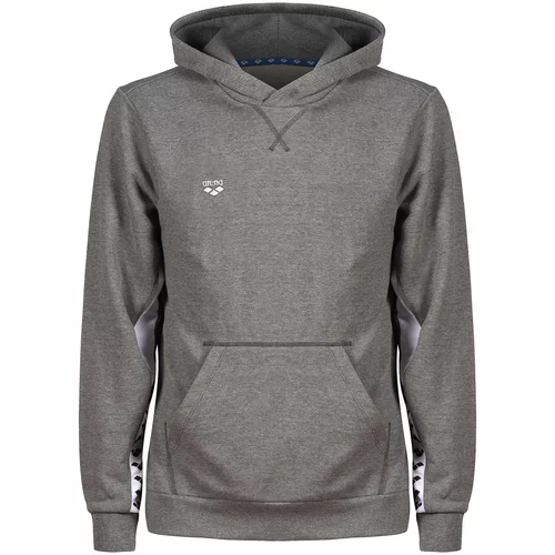 Arena Sportska sweater majica 'ICONS' siva / crna / bijela
