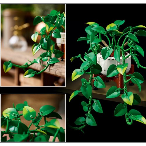 Lego Botanical Collection - Viseći zlatni puzavac (11512) Slike