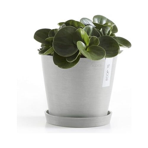 Ecopots Round Coaster - belo siva - ∅ 17,8, višina 2,5 cm Cene