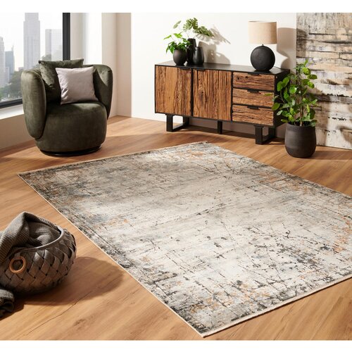Dieter Knoll tkana preproga poseidon 80/150 cm tkano siva, večbarvno Slike