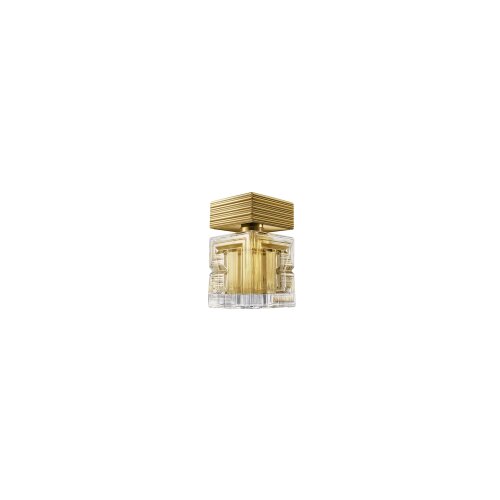 Balmain Destin de Slike