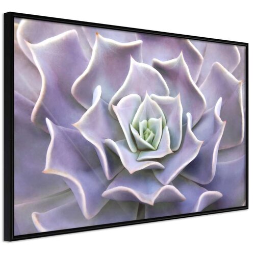  Poster - Like a Flower 90x60 Cijene