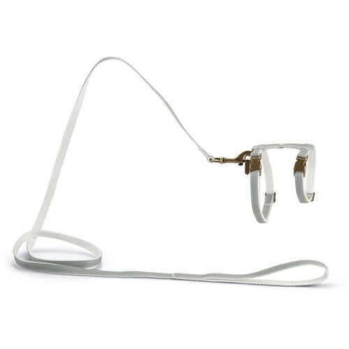 Designed by Lotte komplet za mačke Virante - metvica Slike