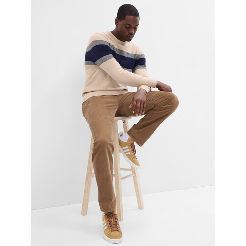 GAP Sweater with stripes - Men's Cene
