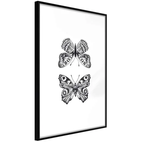  Poster - Butterfly Collection I 40x60