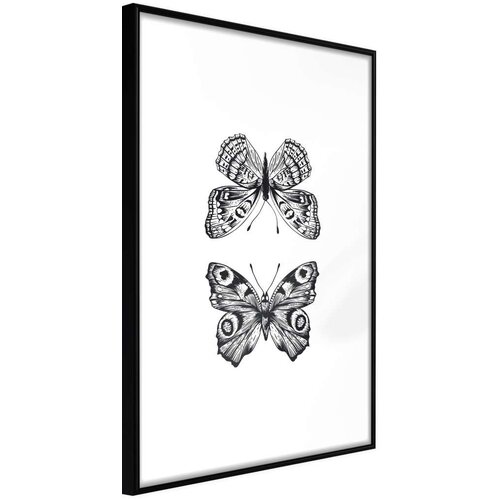  Poster - Butterfly Collection I 40x60 Slike