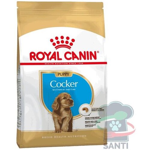 Royal Canin Breed Cocker Puppy - 3 kg Slike