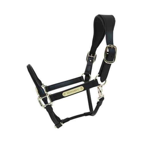 Kentucky Horsewear Usnjena oglavka &amp;quot;Anatomic&amp;quot; Cob - črna Slike