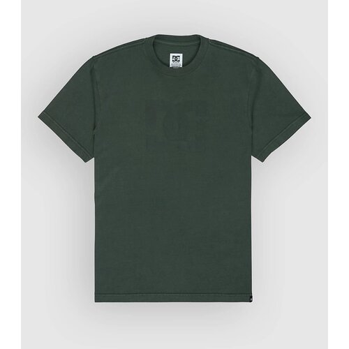 DC Star Pigment Dye T-shirt deep forest Cene