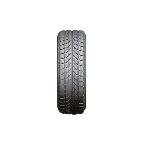 Horizon HW505 ( 255/55 R19 107H ) zimska pnevmatika Slike