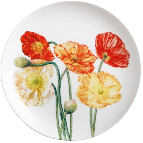 Maxwell williams Desertni tanjur ø 20 cm Floriade - Cijene