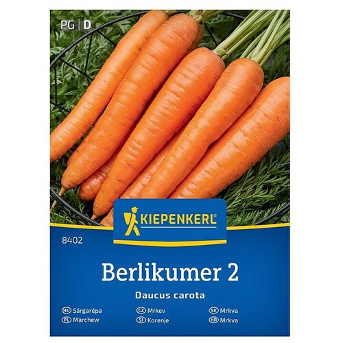 KIEPENKERL Zelenjavna semena Korenje Berlikumer 2 (Daucus carota subsp. sativus, Čas žetve: Avgust) Cene