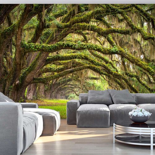  Tapeta - Tree embrace 200x140 Slike